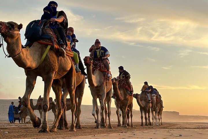 Sunset Camel Ride tour with Barbecue dinner in the beach