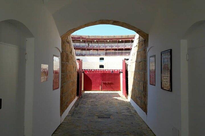 Tour dell'arena di Malaga e del museo della corrida con audioguida