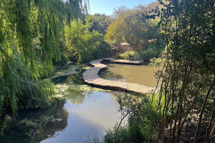 Natur und Kultur: Tricao-Park und Isla Negra mit Mittagessen