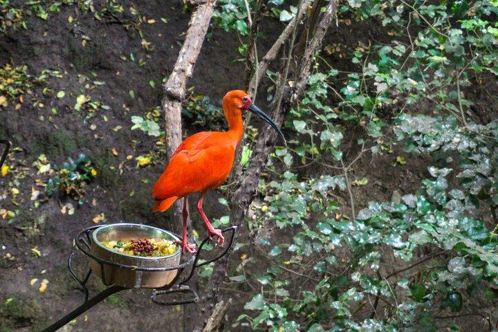 Natur und Kultur: Tricao-Park und Isla Negra mit Mittagessen