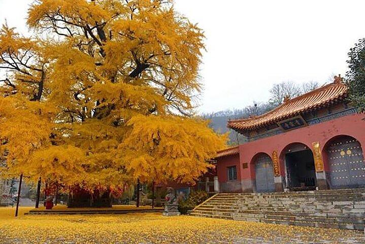 Louyang Longmen Grotten und Shaolin Tempel Tagestour von Xian