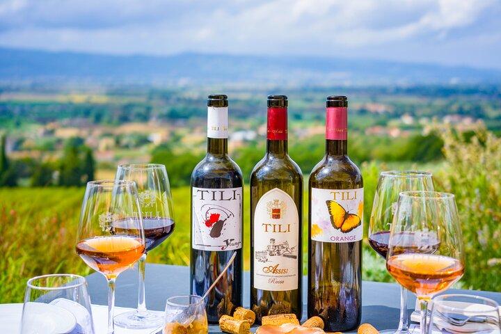 Déjeuner léger de la ferme à la table et dégustation de vin à la campagne d'Assise