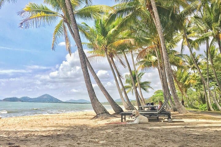 Cairns City Half Day Tour