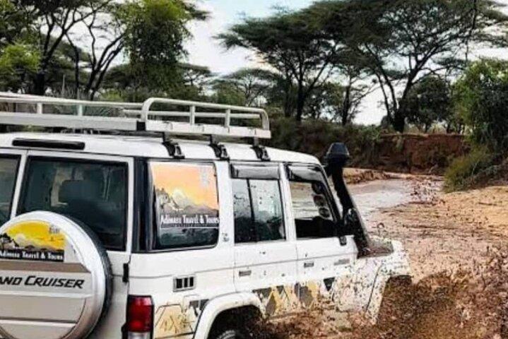 8 Days Harar, Awash safari and Bale Mountains Trip