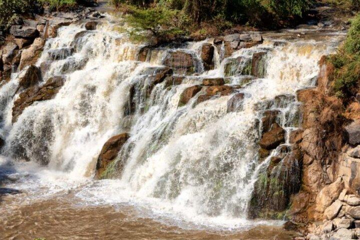 8 Days Harar, Awash safari and Bale Mountains Trip