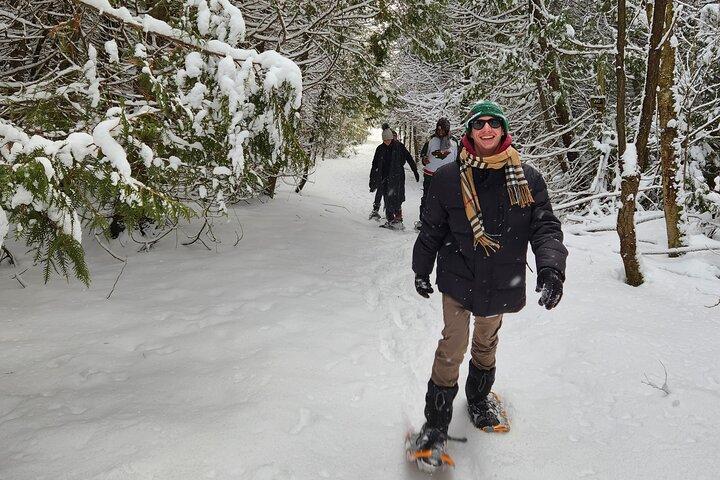 Raquetas de nieve privadas para las cuevas de Nottawasaga Bluffs, Collingwood/Creemore