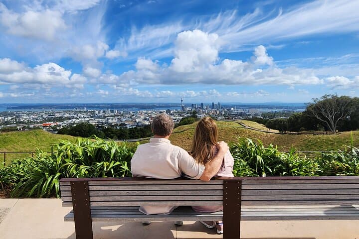 Auckland Best Top 5 Spots Half day Tour