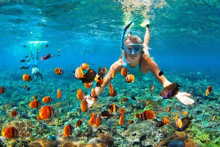 Bali Snorkeling en Blue Lagoon con traslado privado