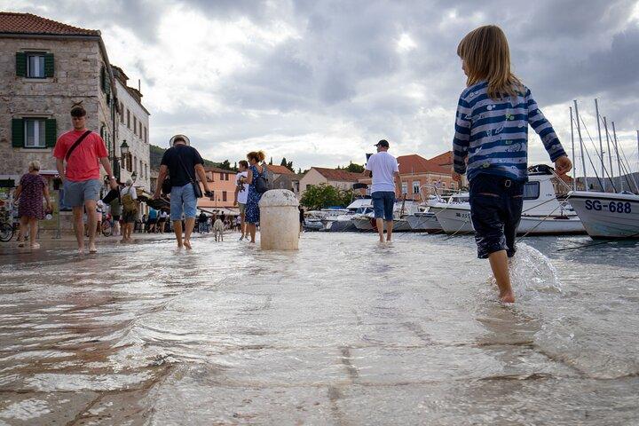 Heldagstur till Hvar – vin, lavendel, lunch och gömda byar