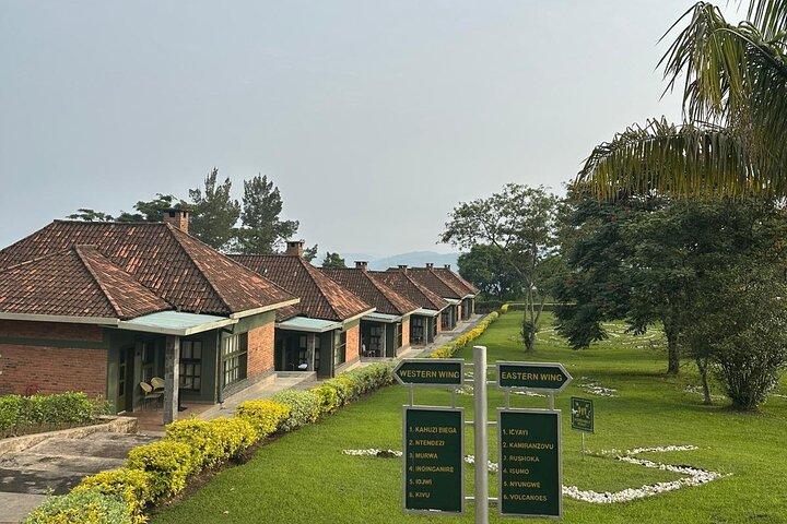 Private Tour durch den Nyungwe-Nationalpark