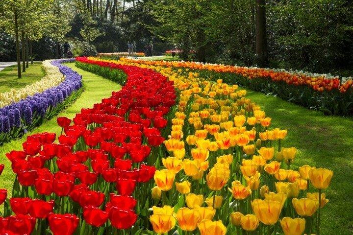 Keukenhof e Volendam de Amsterdã com Guia e Driver