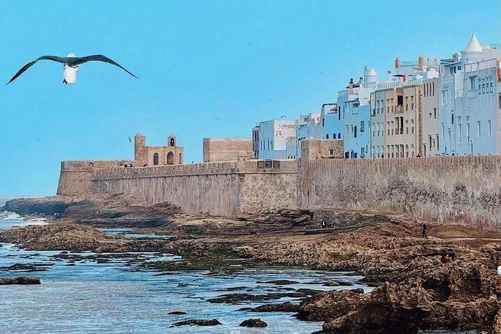 Marrakech: Small Group to Essaouira Day Tour, Unesco & Beach