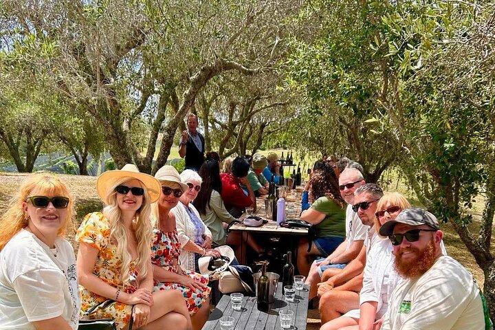 Auckland : Déjeuner en bord de mer sur l'île de Waiheke et visite des vins Premium