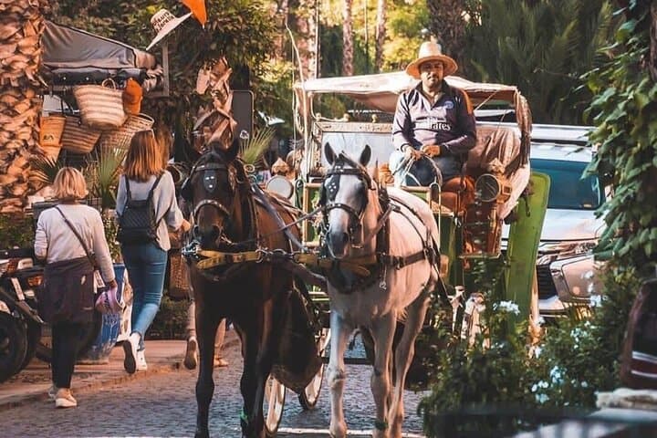 Marrakech 1 hour Horse Carriage Rides
