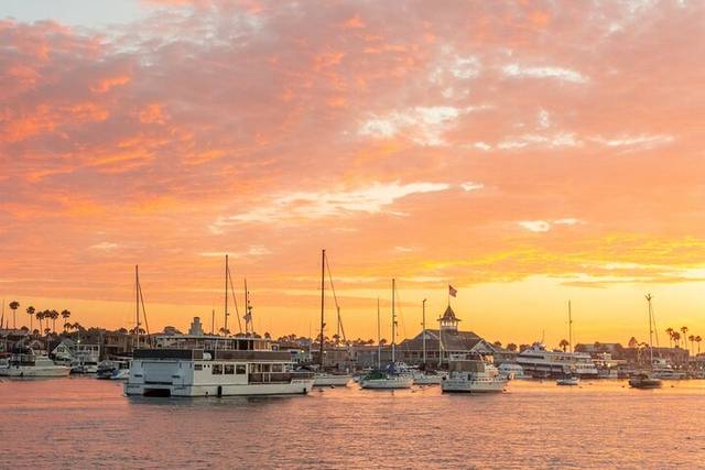 Harbour Cruise