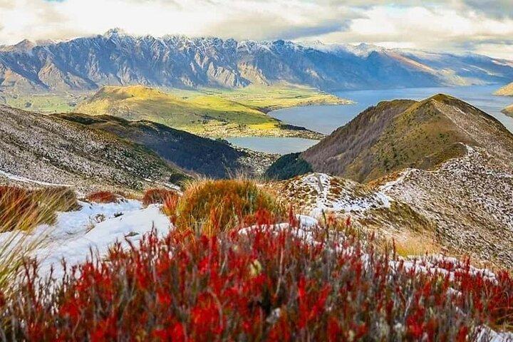 Queenstown Privat lufthavnstransfer: dør til dør service