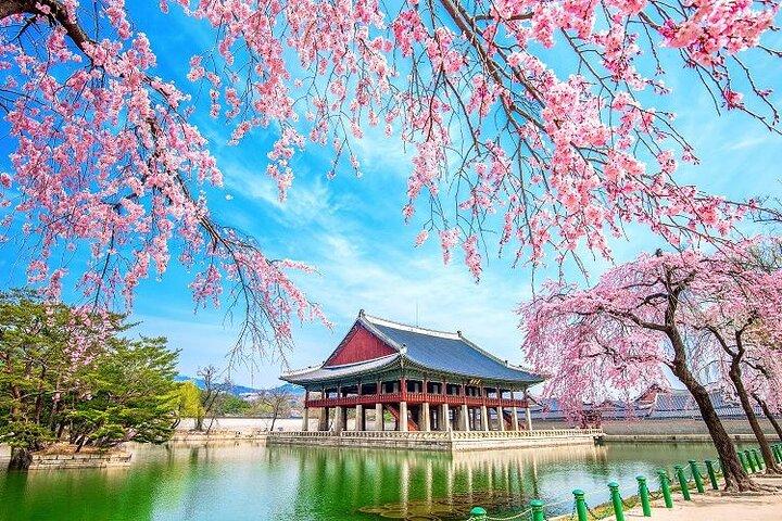 Seoul: Gyeongbokgung & Insa-dong Gastroventure dagtour
