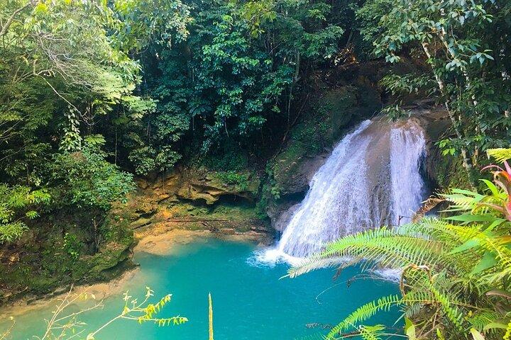 Tour combinato Dunn's River Falls e BlueTour da falmouth