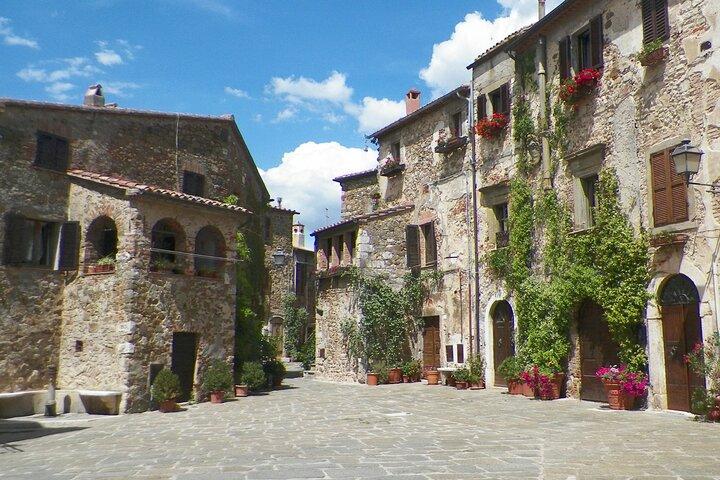 Excursión guiada de día completo desde el puerto de Toscana con cata de vinos