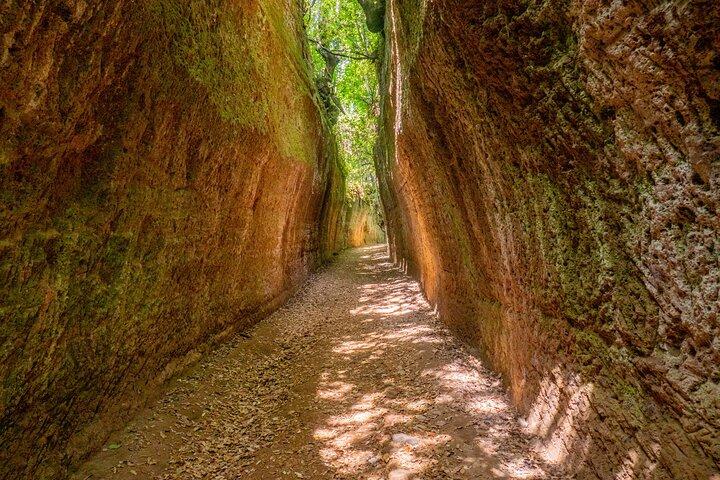 Excursión guiada de día completo desde el puerto de Toscana con cata de vinos