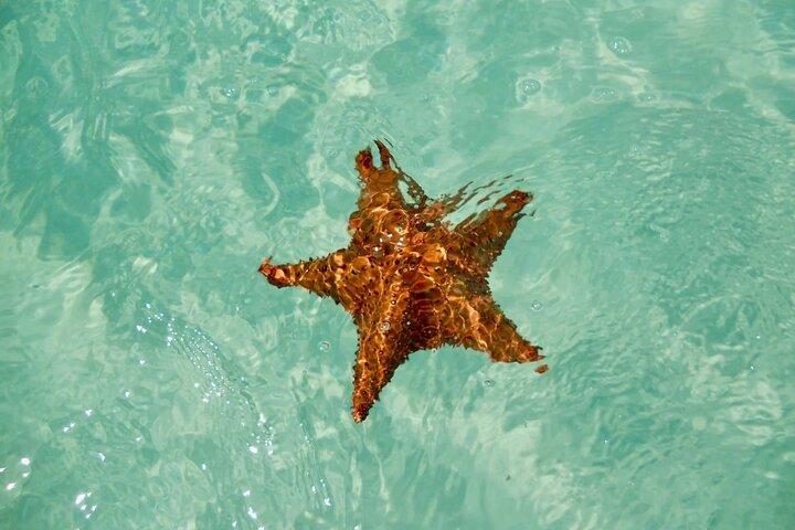 El cielo Cozumel Da Cancún e giro Transfer con pranzo