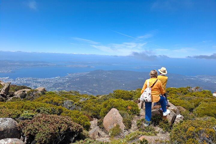 Mt Wellington Hobart Shore Excursie