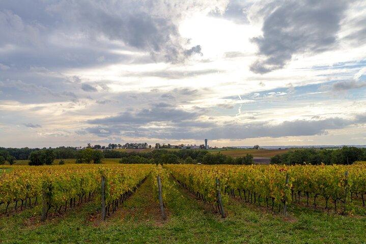 Albi, Cordes Dorf und Weinprobe Private Tour von Toulouse