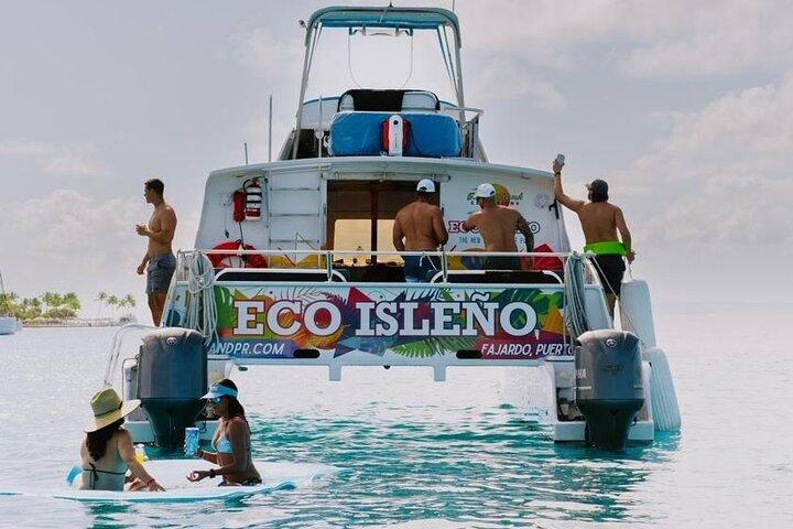 Excursão de meio dia em Icacos Island sem transporte