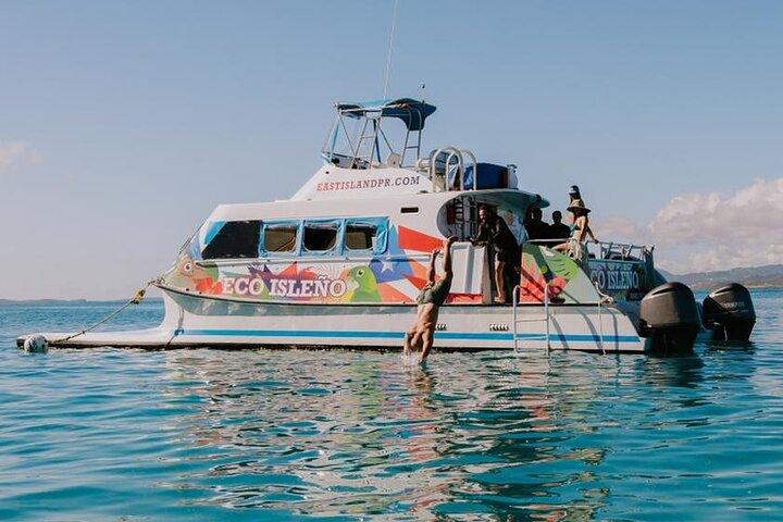 Excursão de meio dia em Icacos Island sem transporte