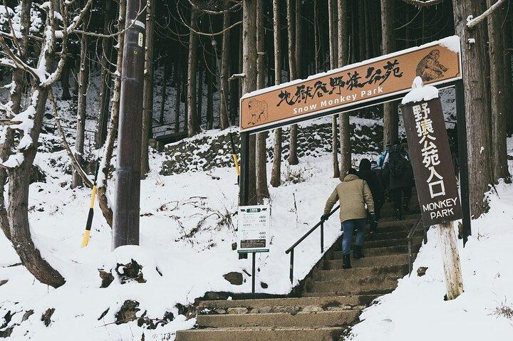 Naganos Schneeaffen und Sake Tasting Tagestour