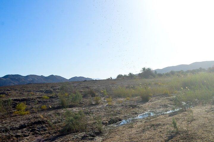 Hoteller i nærheden af Desert Adventure - HRG Canyon & Oasis