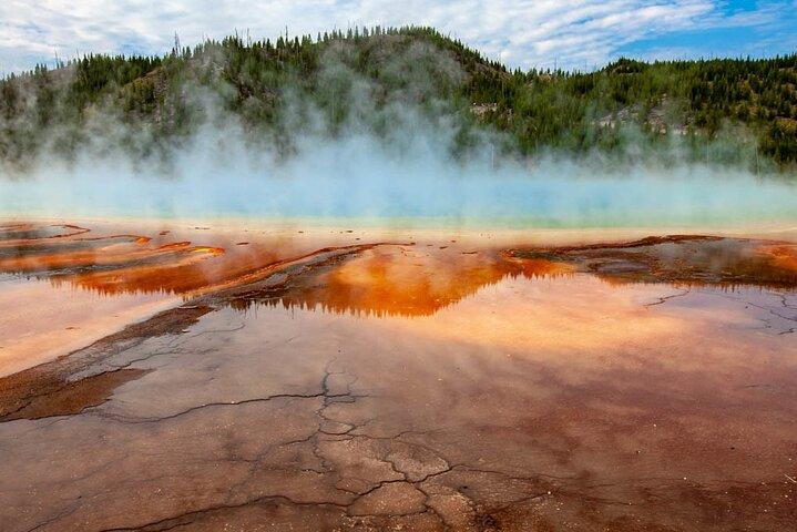 De Bozeman Express Yellowstone Excursion d'une journée