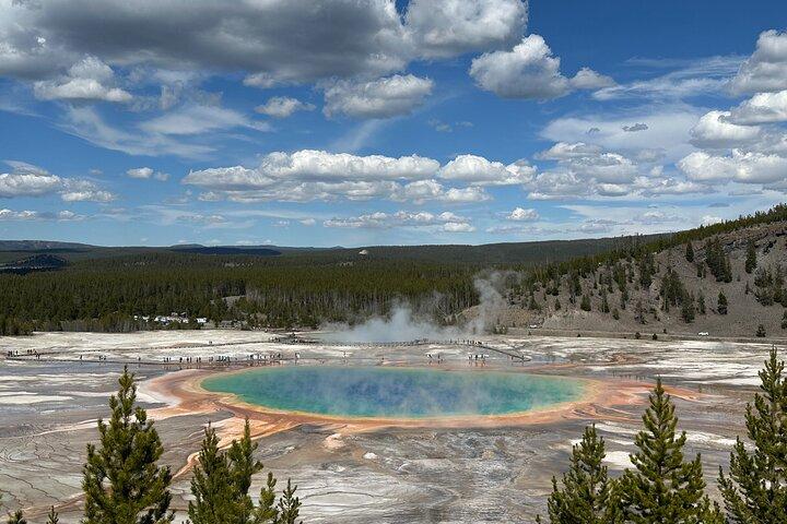 De Bozeman Express Yellowstone Excursion d'une journée