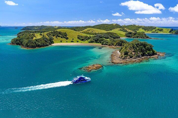Tour de croisière Hole in the Rock Dolphin au départ d'Auckland