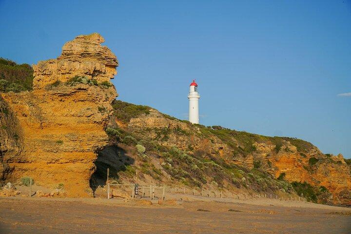 Great Ocean Road Discovery Tour - 12 apostoli e meraviglie dell'ora d'oro