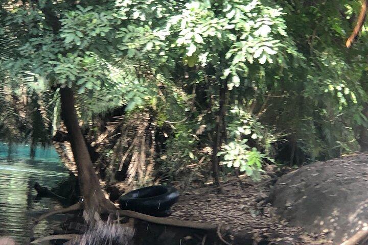 Dagtrip Materuni Watervallen Chemka Hotsprings Moshi Tz