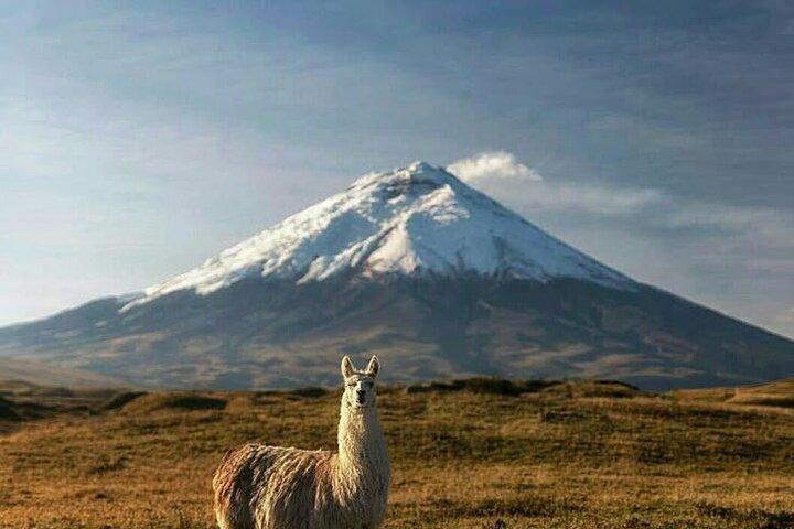 Abenteuer in Ecuador Vulkan Cotopaxi