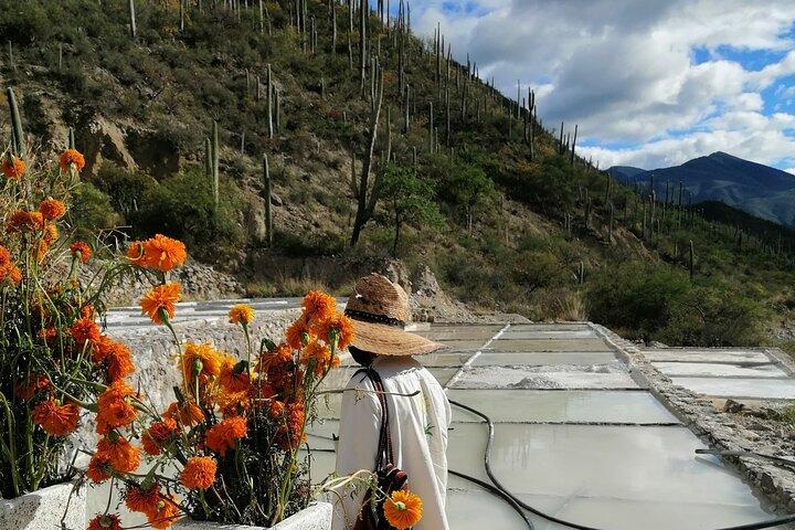 De Puebla : Visite privée à la réserve de biosphère de Tehuacán + mezcal