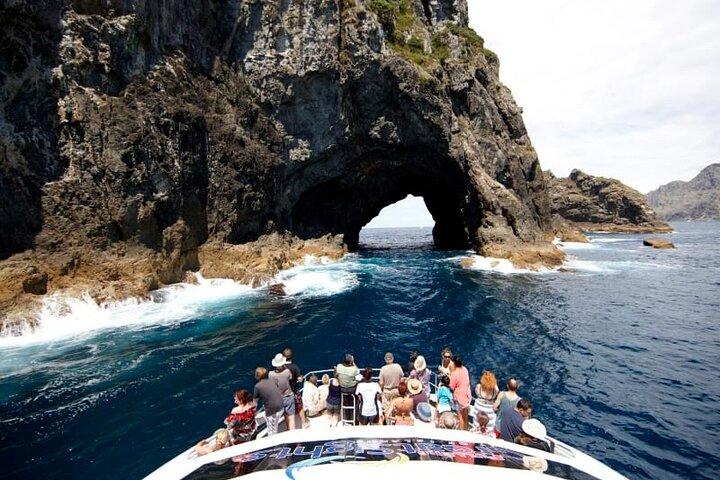 Hole in the Rock Dolphin Cruise Tour Round Trip from Auckland