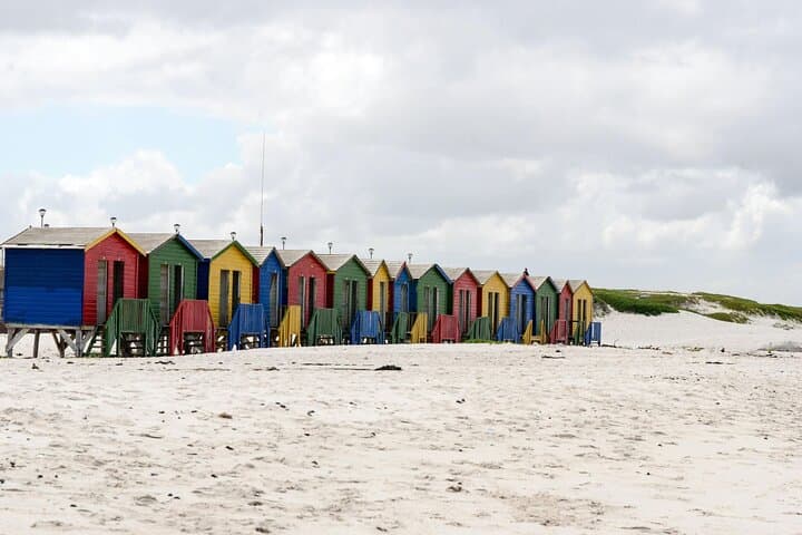 5 Day Cape Town, Winelands and Wildlife Tour