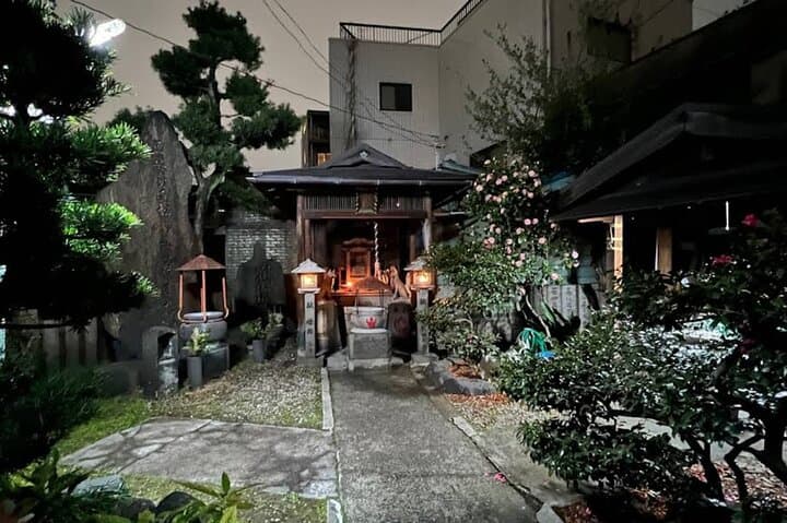 Deep Osaka Night Walking Tour with Optional Dinner