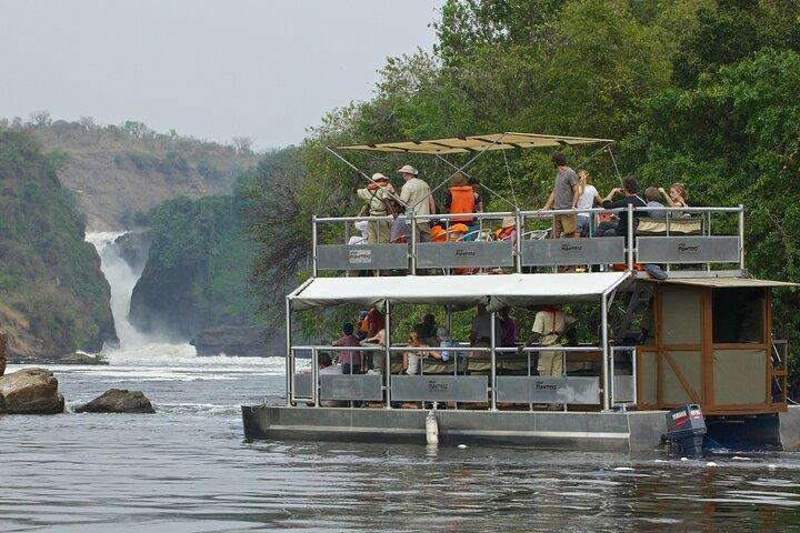 Trekking di 7 giorni con gorilla e scimpanzé con Game Drive