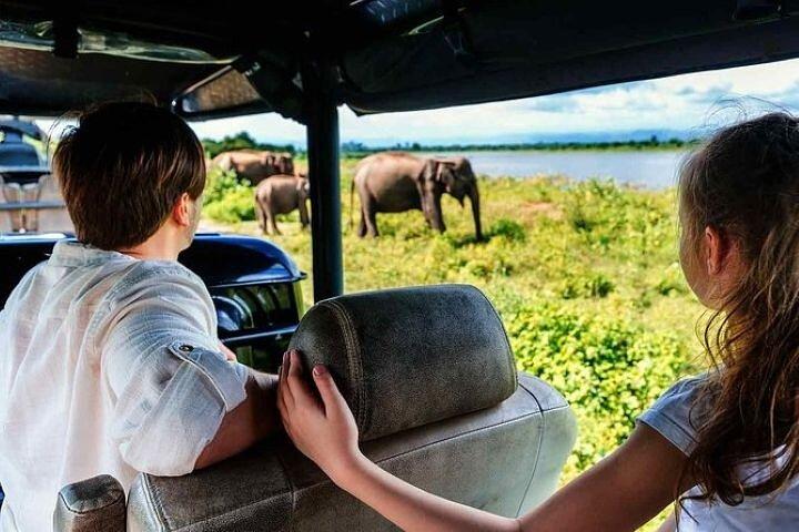 Udawalawe Jeep Safari de Bentota Aluthgama Berawula Área