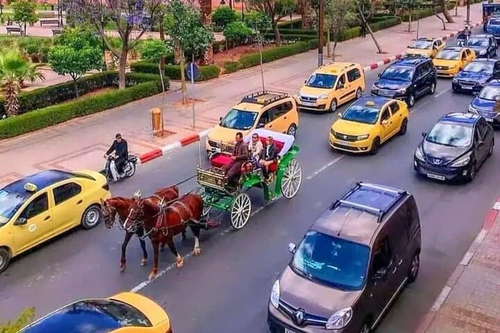 Marrakech 1 hour Horse Carriage Rides