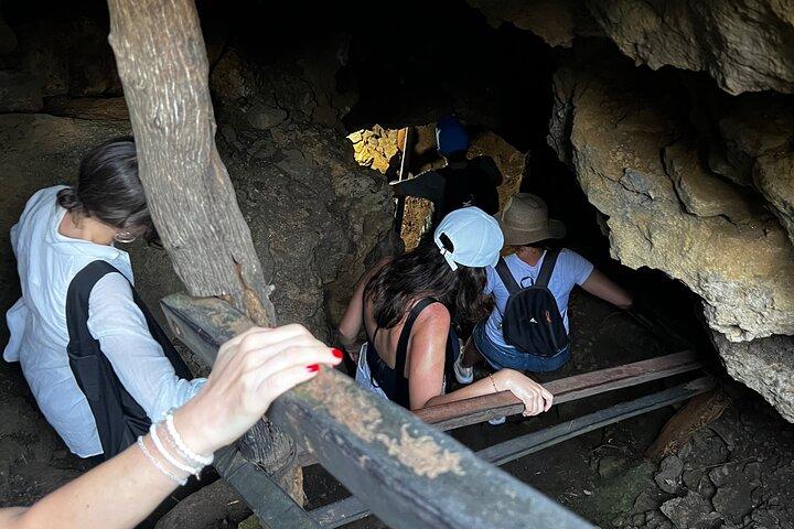 Aventure souterraine : tunnels de lave et tortues géantes