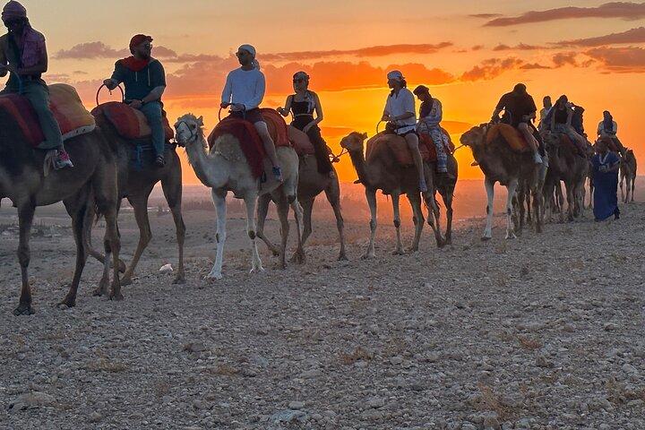 Agafay Desert Luxury Tour with Buggy, Camel and Diner Show