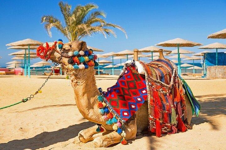 Hurghada Overnachting vanuit Luxor met privétransfers