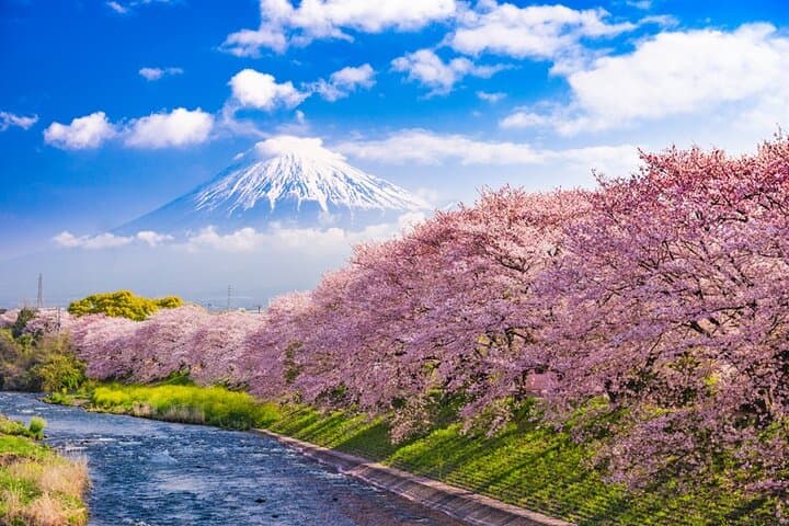 Mt Fuji Kawaguchi or Hakone customize private charter car service