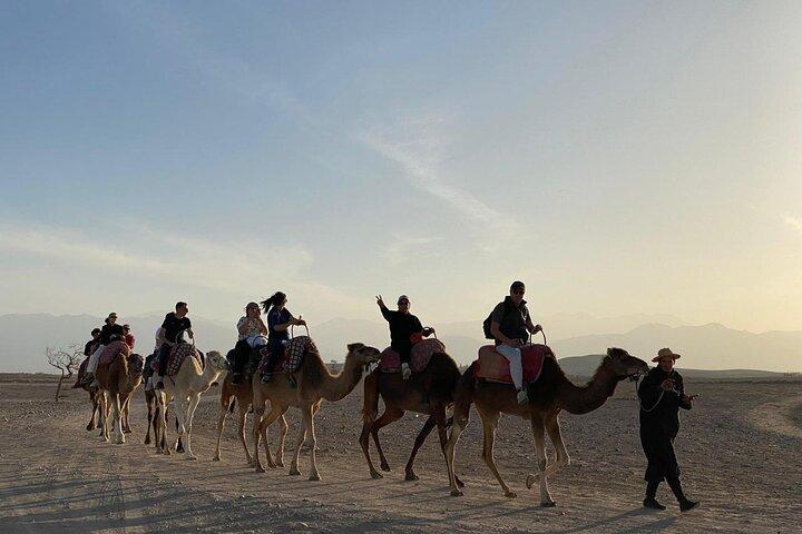 Small group to Atlas Mountains 4valleys;Waterfulls and camel Ride experience