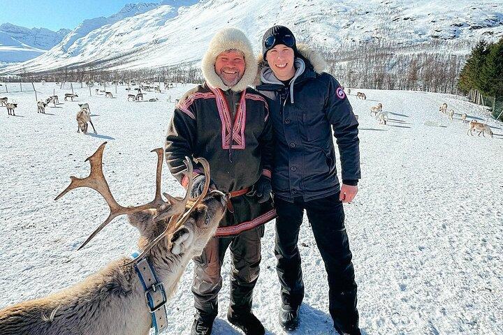 少人数グループでの特別なトナカイ体験、トロムソ